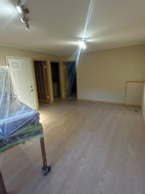 certified insulation services